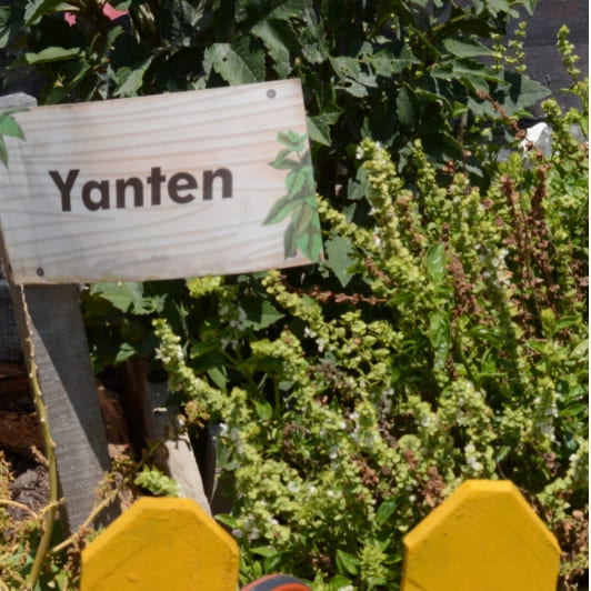 Agroecología y biodiversidad