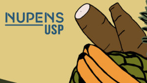 Impactos socioeconómicos del PNAE en Brasil